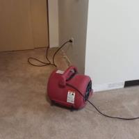 Kissimmee Carpet Cleaning Inc. image 7